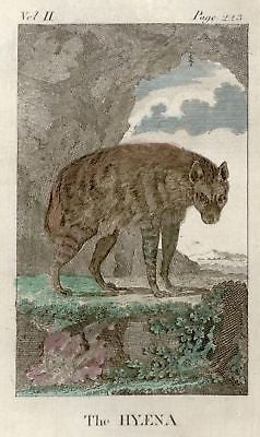 Goldsmith's Animated Nature - 1795 - ANIMAL - THE HYENA