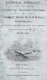 Shaw's  Zoology - "PIED SEAL & HARP SEAL" - Copper Eng. - 1800