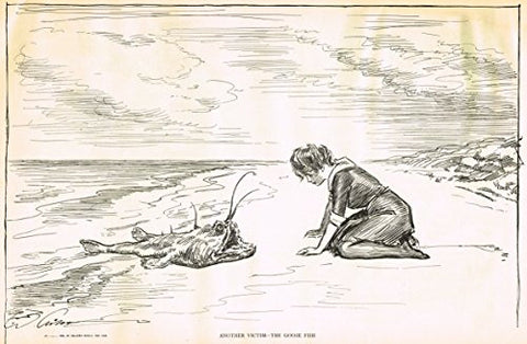 The Gibson Book - "ANOTHER VICTIM - THE GOOSE FISH" - Lithograph - 1907