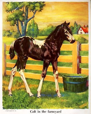 "Animal Friends"  by Piper - 1927 - "COLT IN FARMYARD" - Sandtique-Rare-Prints and Maps
