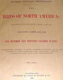 Studer's Birds - 1878 - "BAHAMA CREEPER & JAY" - Chromolithograph