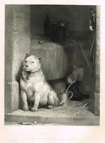Fine Art - "LOW LIFE" by E. Landseer (Engraved by H. Beckwith) - Steel Engraving - c1840