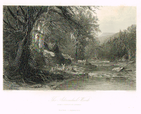 Picturesque America's "THE ADIRONDACK WOODS" - Steel Engraving - 1872