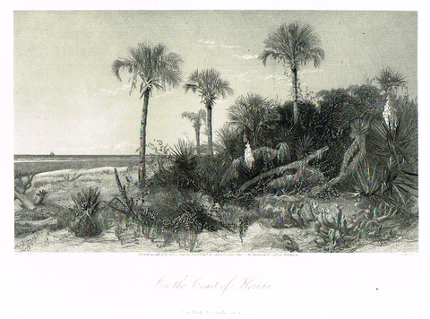 Picturesque America's "ON THE COAST OF FLORIDA" - Steel Engraving - 1872