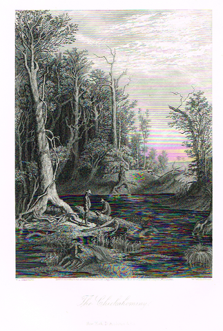 Picturesque America's "THE CHICKAHOMINY" - Steel Engraving - 1872