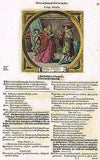 Jacob Cats -1655- "O TINGE O BRUSCIA" H-Colored  Antique Print Emblem