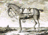 Diderot Enclyclopedie - SELLIER CAROSSIER  (CREW HORSE SADDLE) - 1751