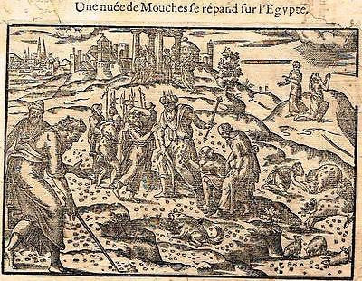 Leclerc's Bible Figures - Woodcut - FLIES SWARM ON EGYPTE - 1614
