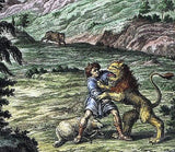 Scheuchzer's Physica Sacra - DAVID FIGHTING LION - H. Col. Eng. -1731