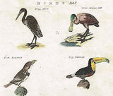 Issac Taylor's Birds - "BIRDS Tab. V" - Hand-Col'ed Copper Engraving -1789
