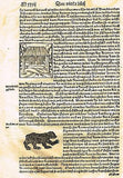 Munster's COSMOGRAPHIA - BULL, BEAR & BEEHIVES - Antique Print -1544
