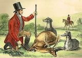 Sporting Print - RECENTLY SHOT BUCK - Hand-Colored Lithograph - c1830