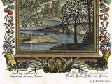 Scheuchzer's "PHYSICA SACRA" H/Col Engraving -1731- SANTALUM, COSTUS