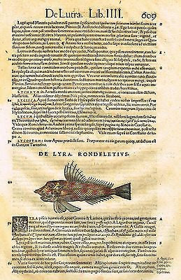 Gesner's Fish  - "DE LYRA, RONDELETIUS" - Hand Col Engraving - 1558