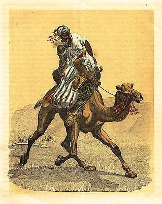 "CAMEL RACING IN THE DESSERT" - Chromolithograph - c1880 - Sandtique-Rare-Prints and Maps