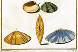 Gualtieri Shell - PLATE T 89 - Hand Colored Copper Engraving - 1742