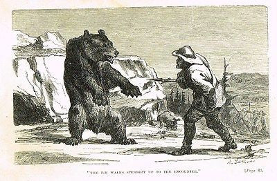 Hunting Grounds - THE FIN WALKS UP TO THE BEAR - Woodcut - 1868