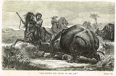 Hunting Grounds - THE HUNTER TOSSED INTO THE AIR- Woodcut - 1868