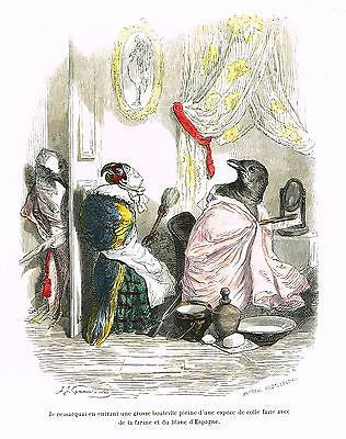 Grandville Print - JE REMARQUAI EN ENTRANT - BIRDS - Colored Litho - 1842