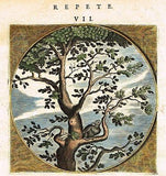 Jacob Cats -1655- "RAVEN SITTING IN TREE" H-C - Antique Print. Emblem