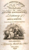 Nickolson's Encyclopedia -1819- OSTRICH, IBIS & VULTURE - Antique Print
