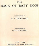 CUTE Baby Dogs by Detmold - 1914 - THE WHIPPET - Chromo