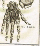 Diderot's Enclyclopedie - ANATOMIE, HANDS & FEET - c1750