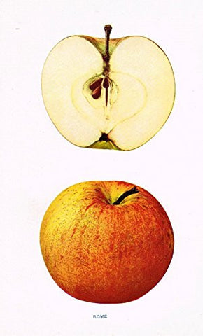 Beach's Apples of New York - "ROME" - Lithograph - 1905