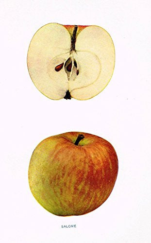 Beach's Apples of New York - "SALOME" - Lithograph - 1905