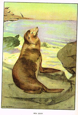 Seton's Northern Animals - "SEA LION" - Lithograph - 1909