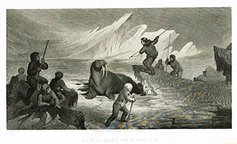 Kane's Arctic Explorations - "WALRUS HUNT OFF PIKANTLIK" - Steel Engraving - 1856