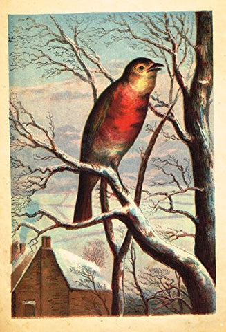 McLoughlin's Playtime Stories - THE SINGING BIRD - Chromolithograph - 1890