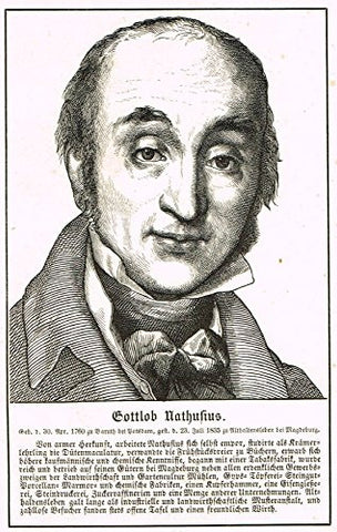 Antique Portrait - "GOTTLOB NATHUSIUS" - Engraving - c1830