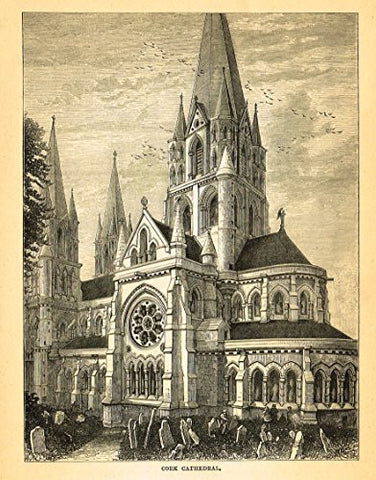 Our National Cathedrals - CORK CATHEDRAL - Wood Engraving - 1887