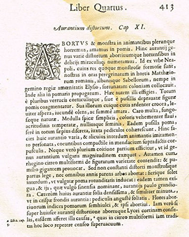 Ferrari HESPERTHUSA'S - "ILLUMINATED INITIAL - A, Page 413" - Copper Engraving - 1646