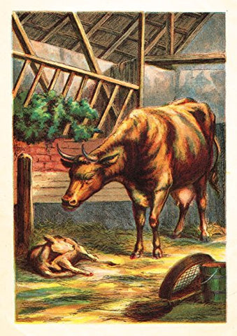 McLoughlin's Playtime Stories - COW & CALF - Chromolithograph - 1890
