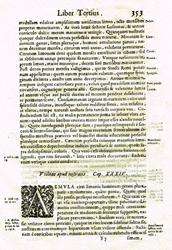 Ferrari HESPERTHUSA'S - "ILLUMINATED INITIAL - A, Page 353" - Copper Engraving - 1646