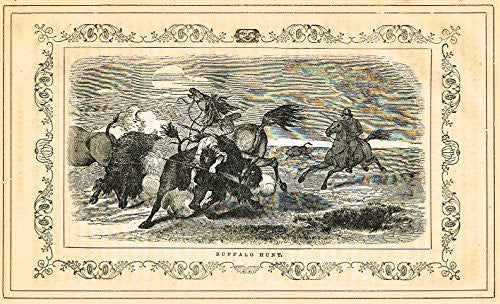 Frost's 'The American Generals' - BUFFALO HUNT - Woodcut - 1848
