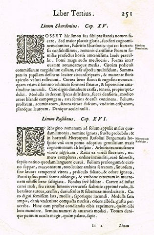 Ferrari HESPERTHUSA'S - "ILLUMINATED INITIALS - P & E, Page 251" - Copper Engraving - 1646