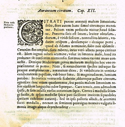 Ferrari HESPERTHUSA'S - "ILLUMINATED INITIAL - C, Page 422" - Copper Engraving - 1646