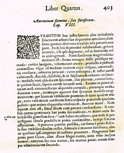 Ferrari HESPERTHUSA'S - "ILLUMINATED INITIAL - A, Page 403" - Copper Engraving - 1647