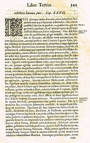 Ferrari HESPERTHUSA'S - "ILLUMINATED INITIAL - E, Page 341" - Copper Engraving - 1646