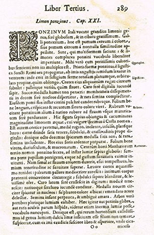 Ferrari HESPERTHUSA'S - "ILLUMINATED INITIAL, -P, Page 289" - Copper Engraving - 1646