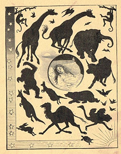 Roe's Illustrated Book of Animals - ANIMALS IN A DREAM - Woodcut - 1892