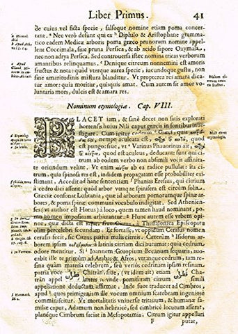 Ferrari HESPERTHUSA'S - "ILLUMINATED INITIAL - P, Page 41" - Copper Engraving - 1646