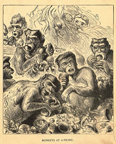 Roe's Illustrated Book of Animals - THE MONKEYS AT A PICNIC - Woodcut - 1892