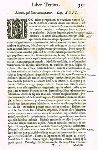 Ferrari HESPERTHUSA'S - "ILLUMINATED INITIAL - H, Page 331" - Copper Engraving - 1646