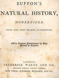 ANIMALS - Buffon's "Natural History" - 1869 - GAZELLE & ANTELOPE