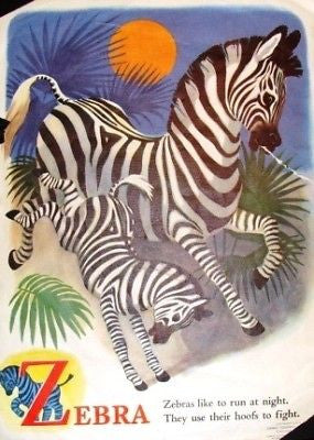 "At The Zoo"  by Trimmer - 1946 - "ZEBRA & DEER" - Sandtique-Rare-Prints and Maps