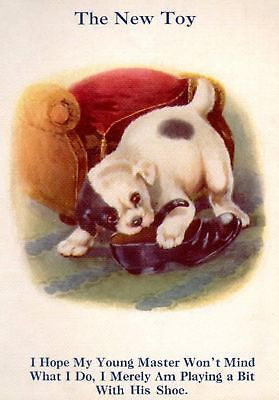"My Puppy Playmates"  by Sam'l - 1931 - "POOR SHOE" - Sandtique-Rare-Prints and Maps
